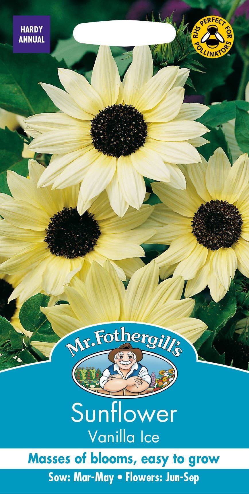 Mr Fothergills Sunflower Vanilla Ice F1 50 Seeds