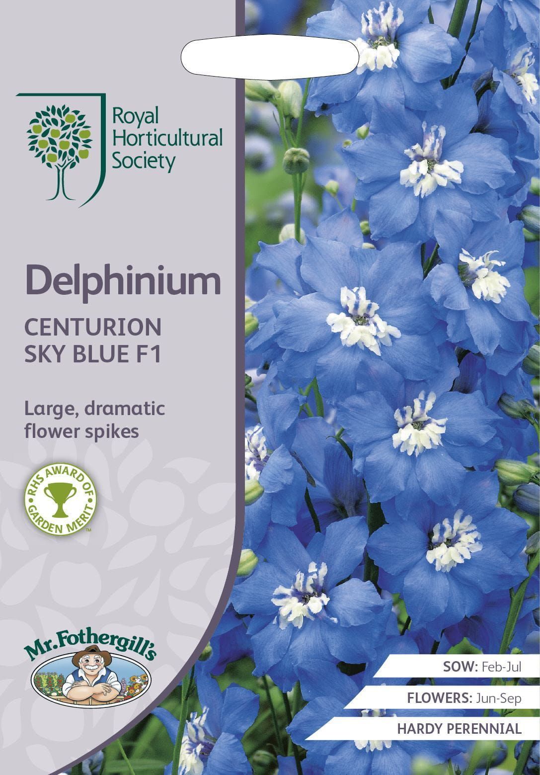 Mr Fothergills RHS Delphinium Centurion Sky Blue F1 20 Seeds