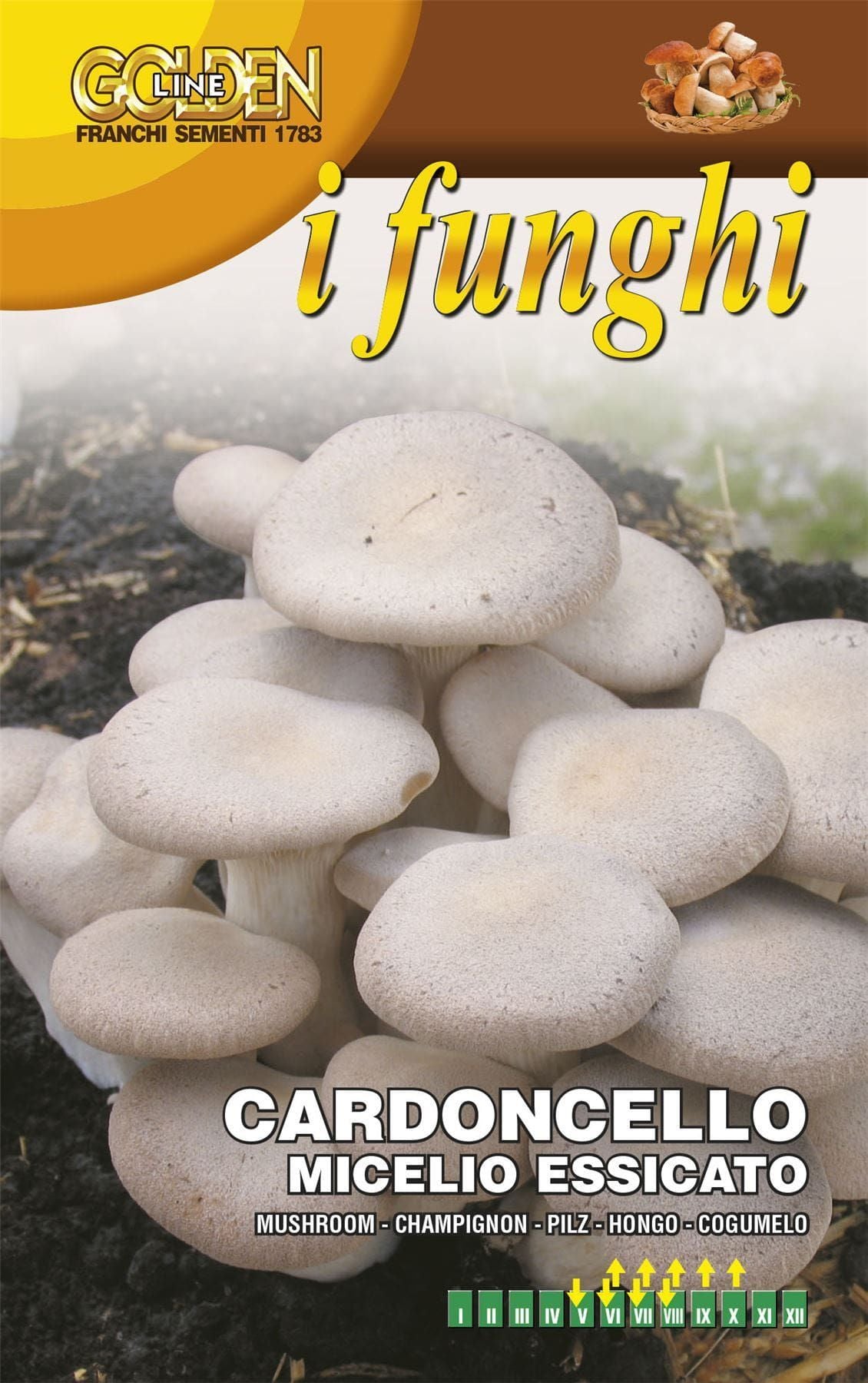 FRANCHI - KING MUSHROOM - PLEUROTUS ERYNGII - 100G