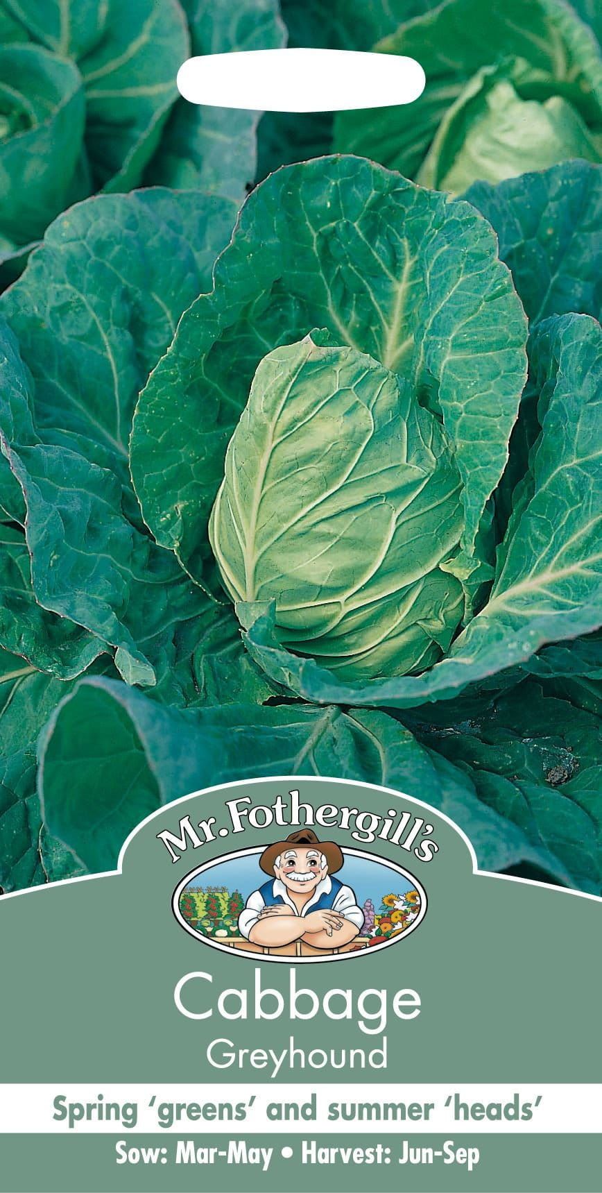 Mr Fothergills Cabbage Greyhound 500 Seeds