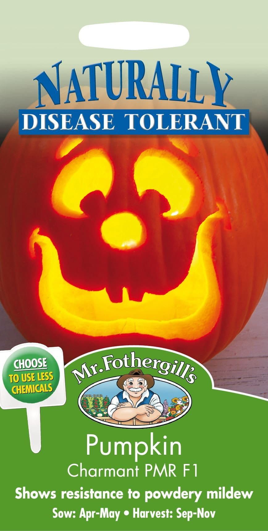 Mr Fothergills Pumpkin Charmant PMR F1 10 Seeds