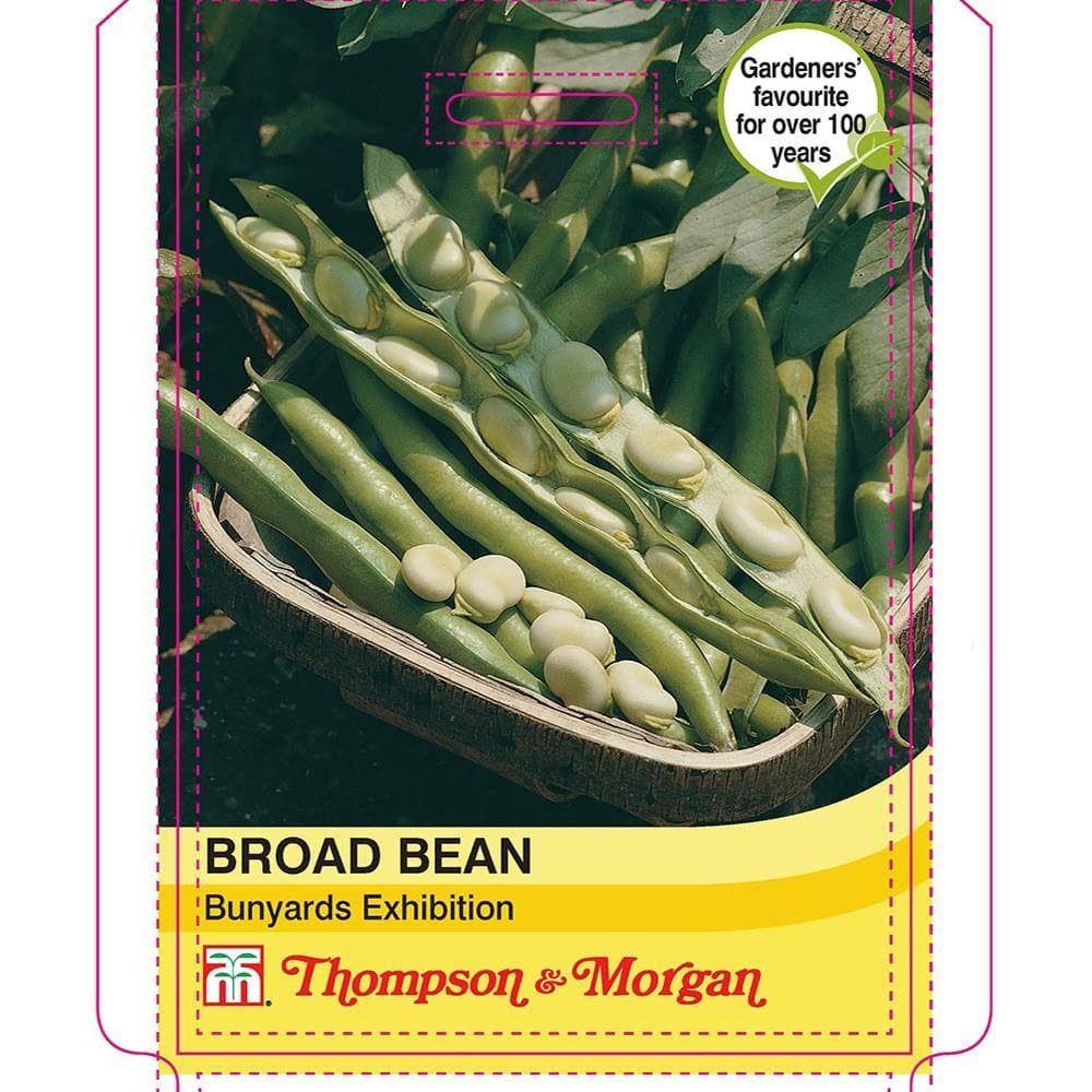 Thompson & Morgan Broad Bean Bunyards Exhibition 30 Seed
