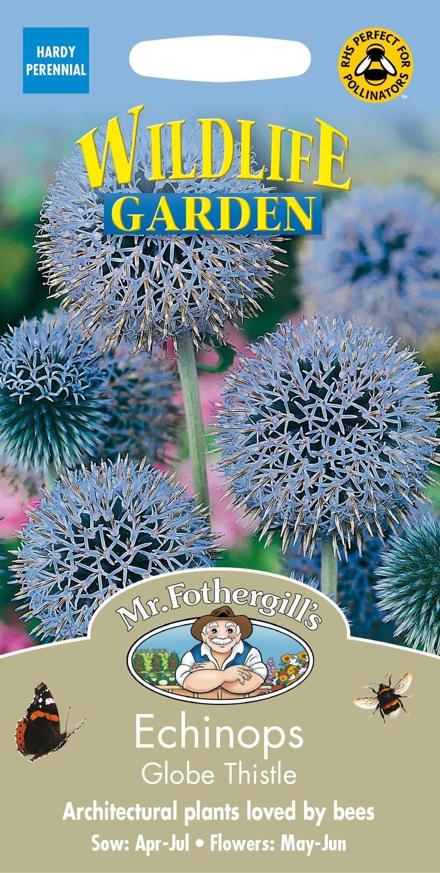 Mr Fothergills Echinops Globe Thistle 50 Seeds
