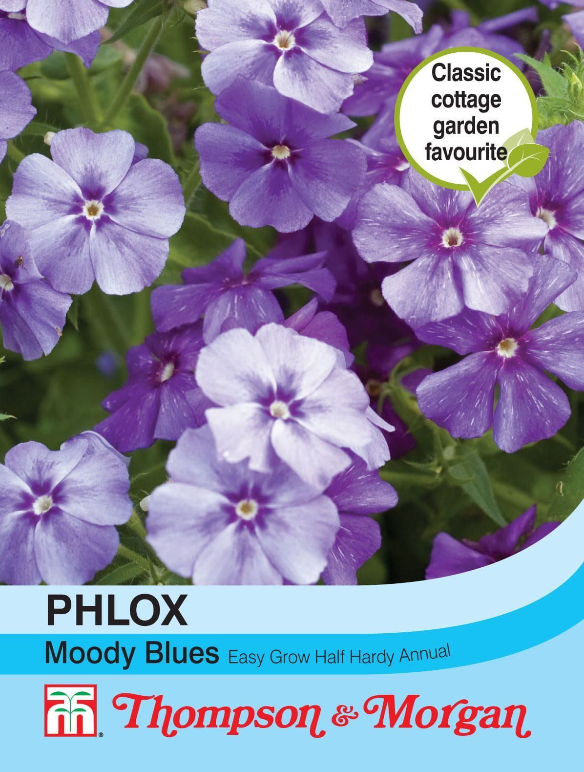 Thompson & Morgan Phlox Moody Blues 175 Seed