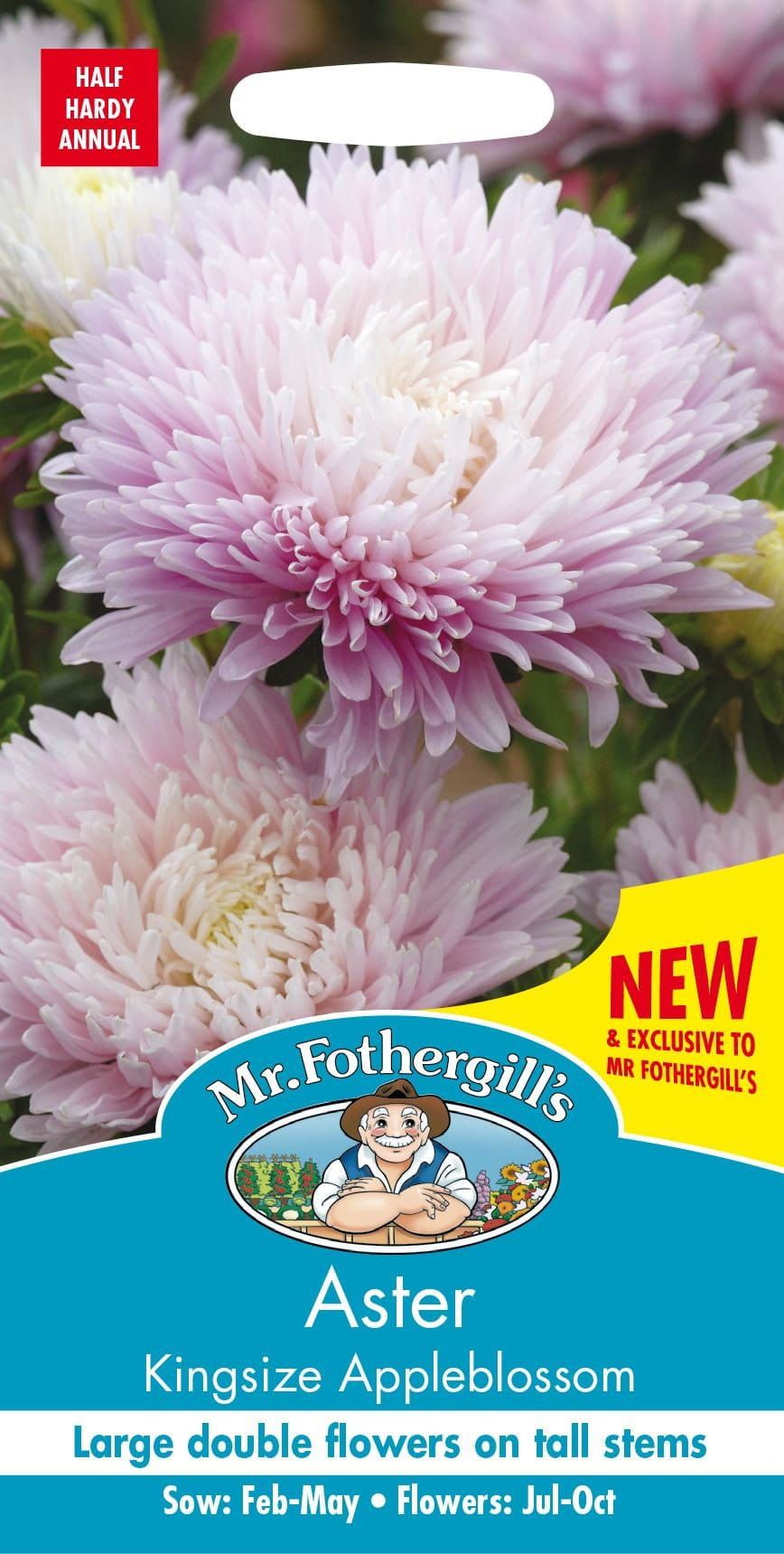 Mr Fothergills Aster Kingsize Appleblossom 150 Seeds