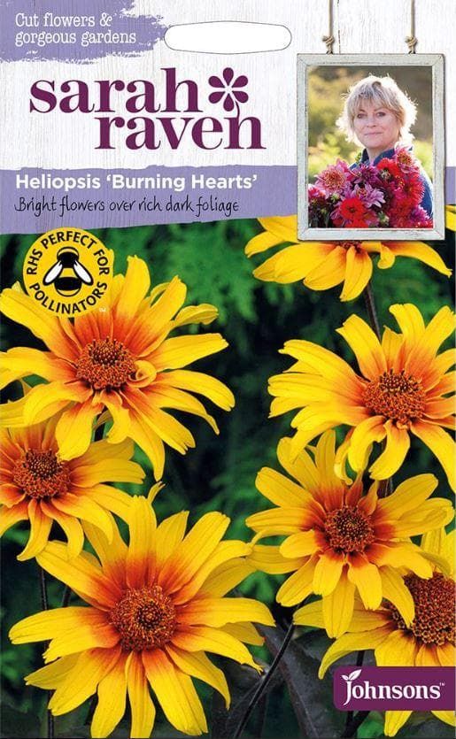 Johnsons Flowers Sarah Raven's Cut Flowers Heliopsis Burning Hearts 15 Seeds