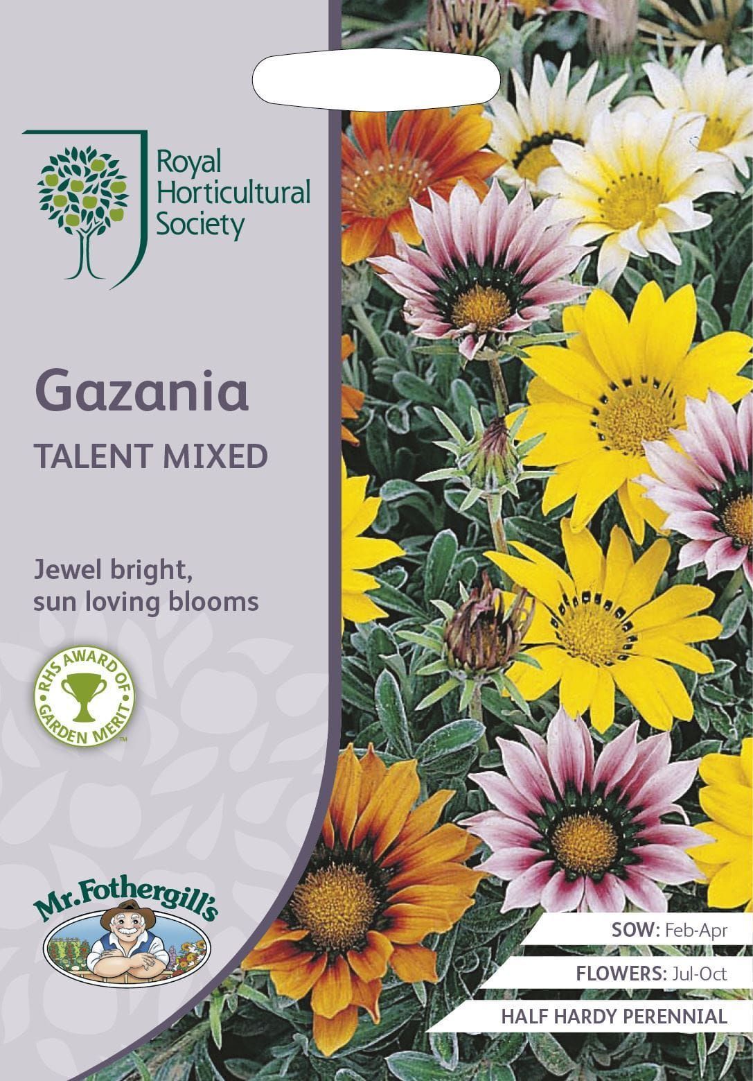 Mr Fothergills RHS Gazania Talent Mixed 25 Seeds