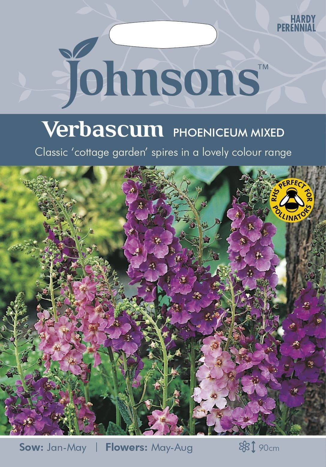 Johnsons Verbascum Phoeniceum Mixed 500 Seeds
