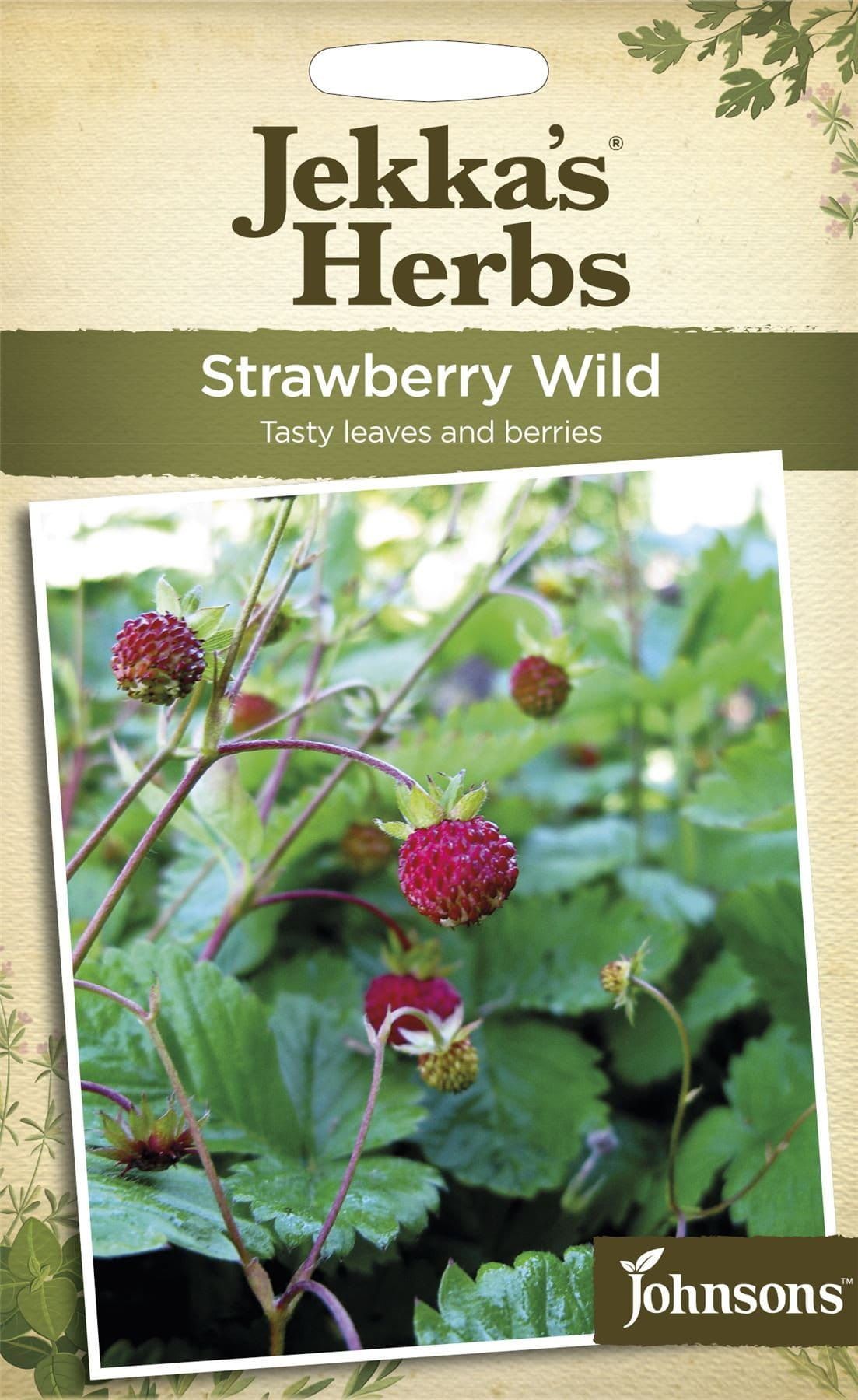 Johnsons Jekka's Herbs Strawberry Wild 500 Seeds