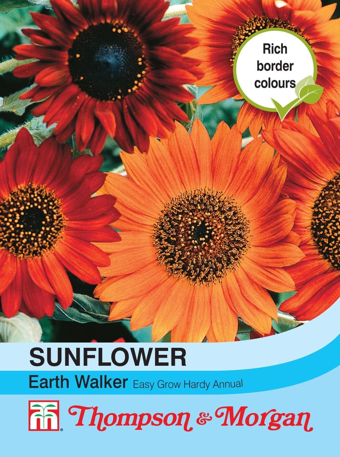 Thompson & Morgan Sunflower Earth Walker 30 Seed