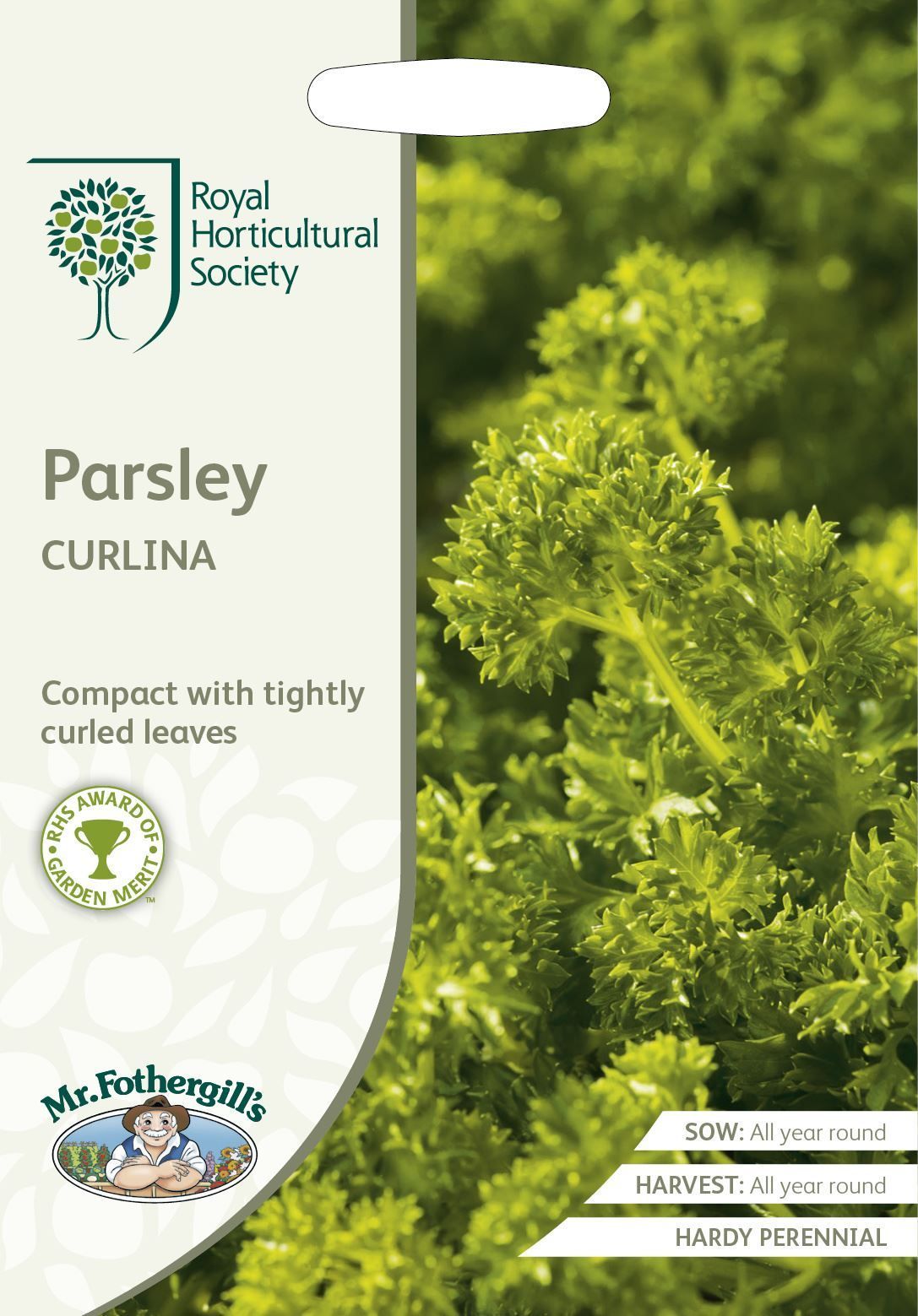 Mr Fothergills RHS Parsley Curlina 1000 Seeds