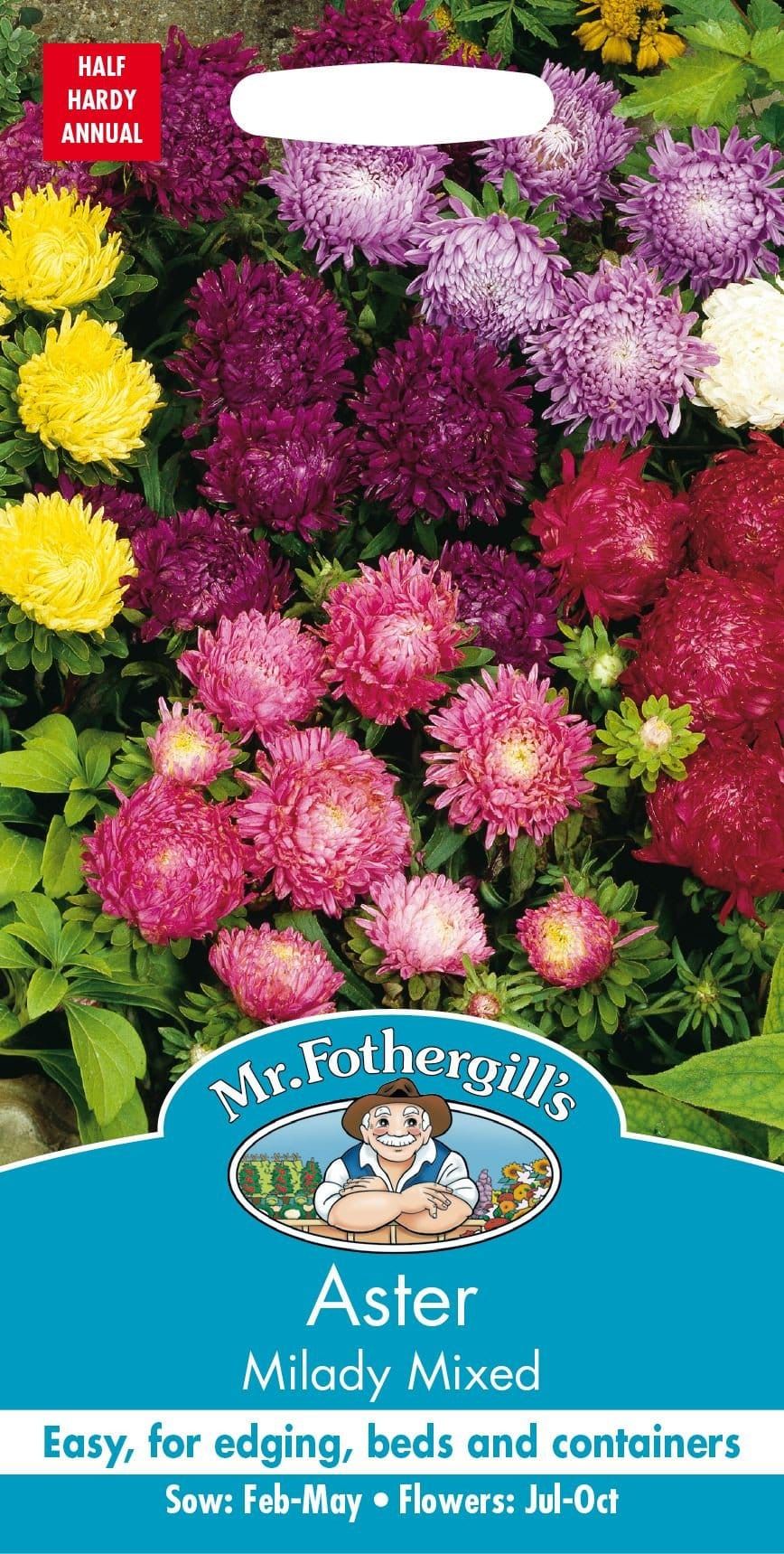 Mr Fothergills Aster Milady Mixed 150 Seeds