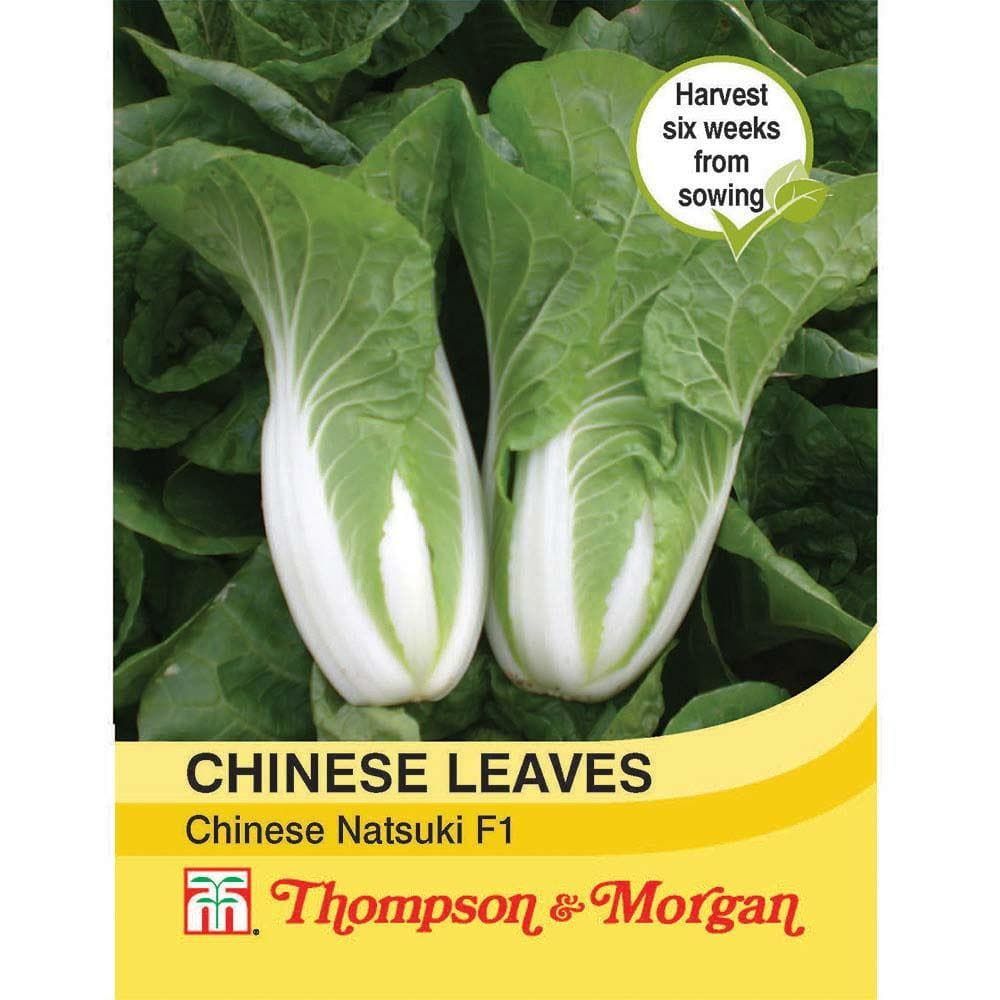 Thompson & Morgan Chinese Leaves Natsuki F1 Hybrid 30 Seed
