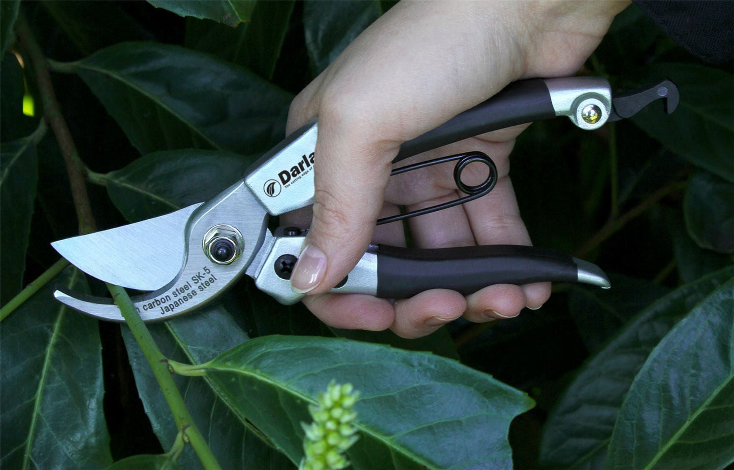 Darlac DP40 Compact Lightweight Pruner Garden Secateurs Max Cut 16mm UK SHIPPING ONLY