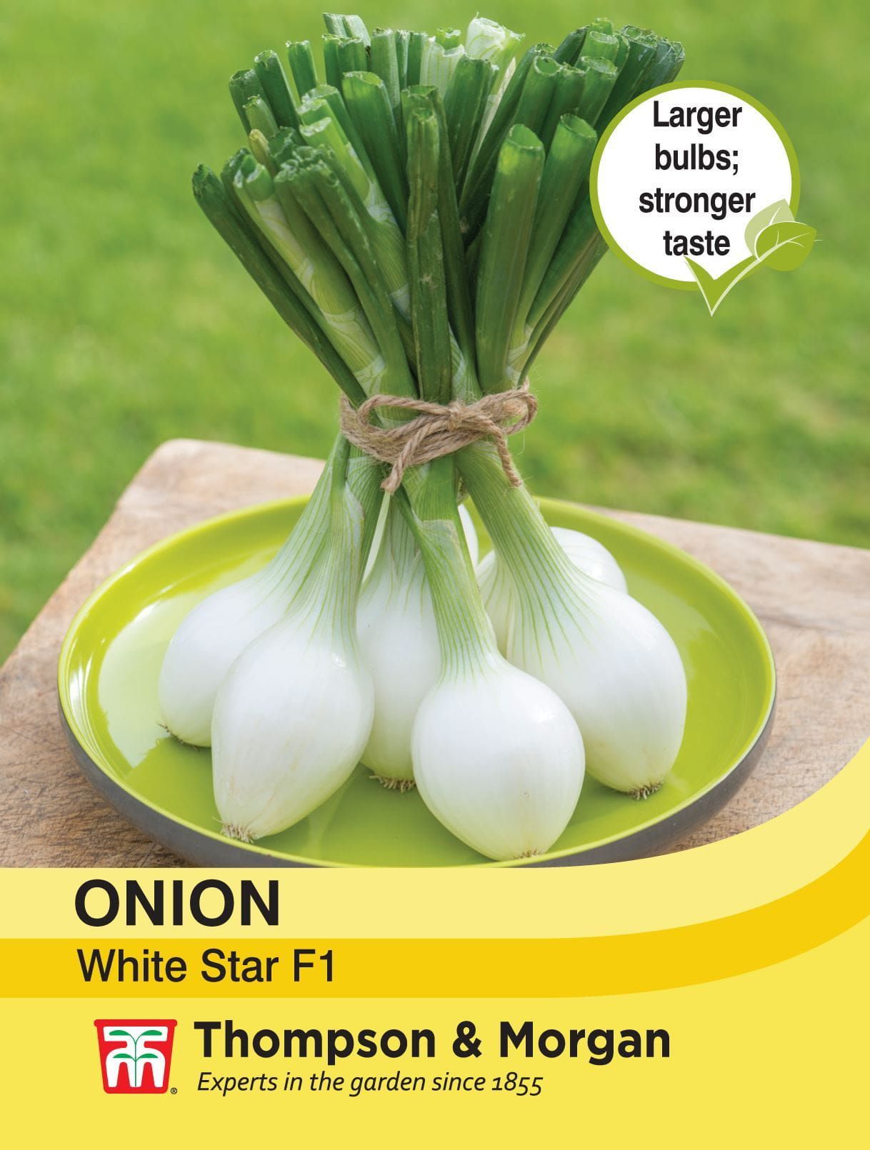 Thompson & Morgan - Vegetable - Onion - White Star - 175 Seeds