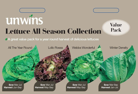 Unwins Vegetable Lettuce All Season Collection 400 Seeds