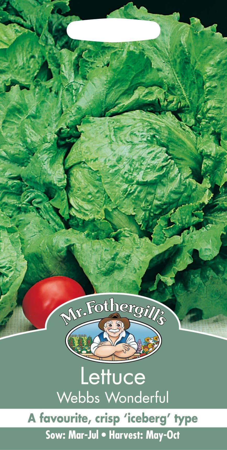 Mr Fothergills Lettuce Webbs Wonderful 1250 Seed