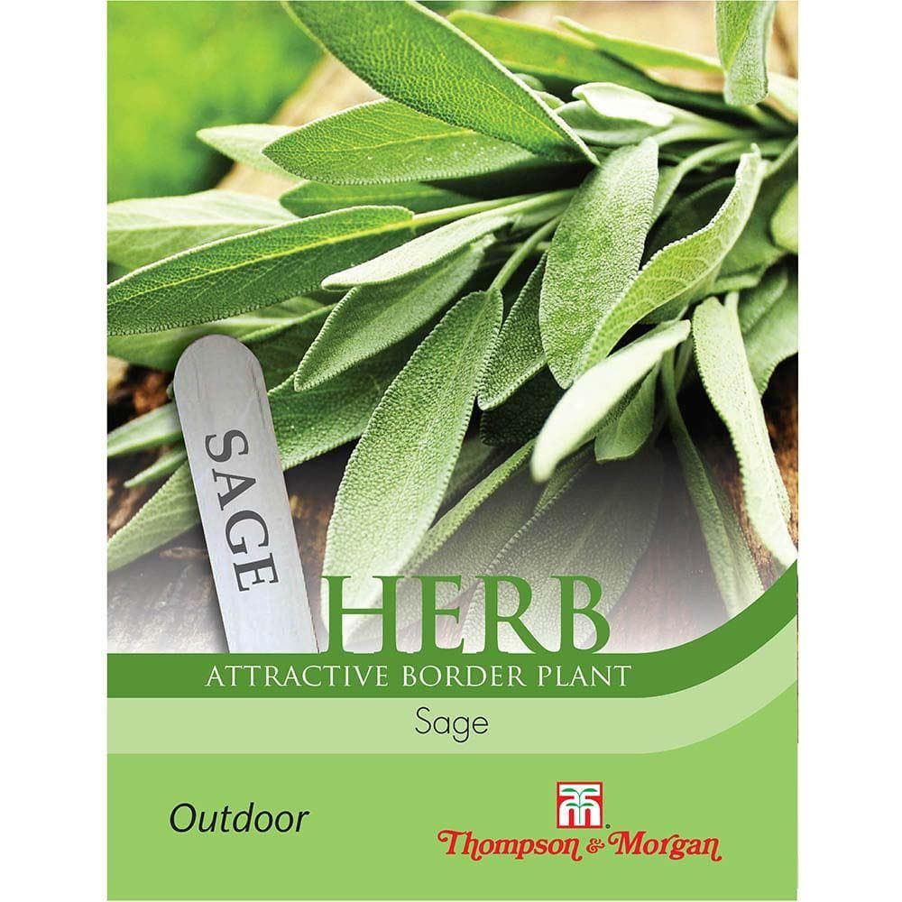 Thompson & Morgan Herb Sage 75 Seed