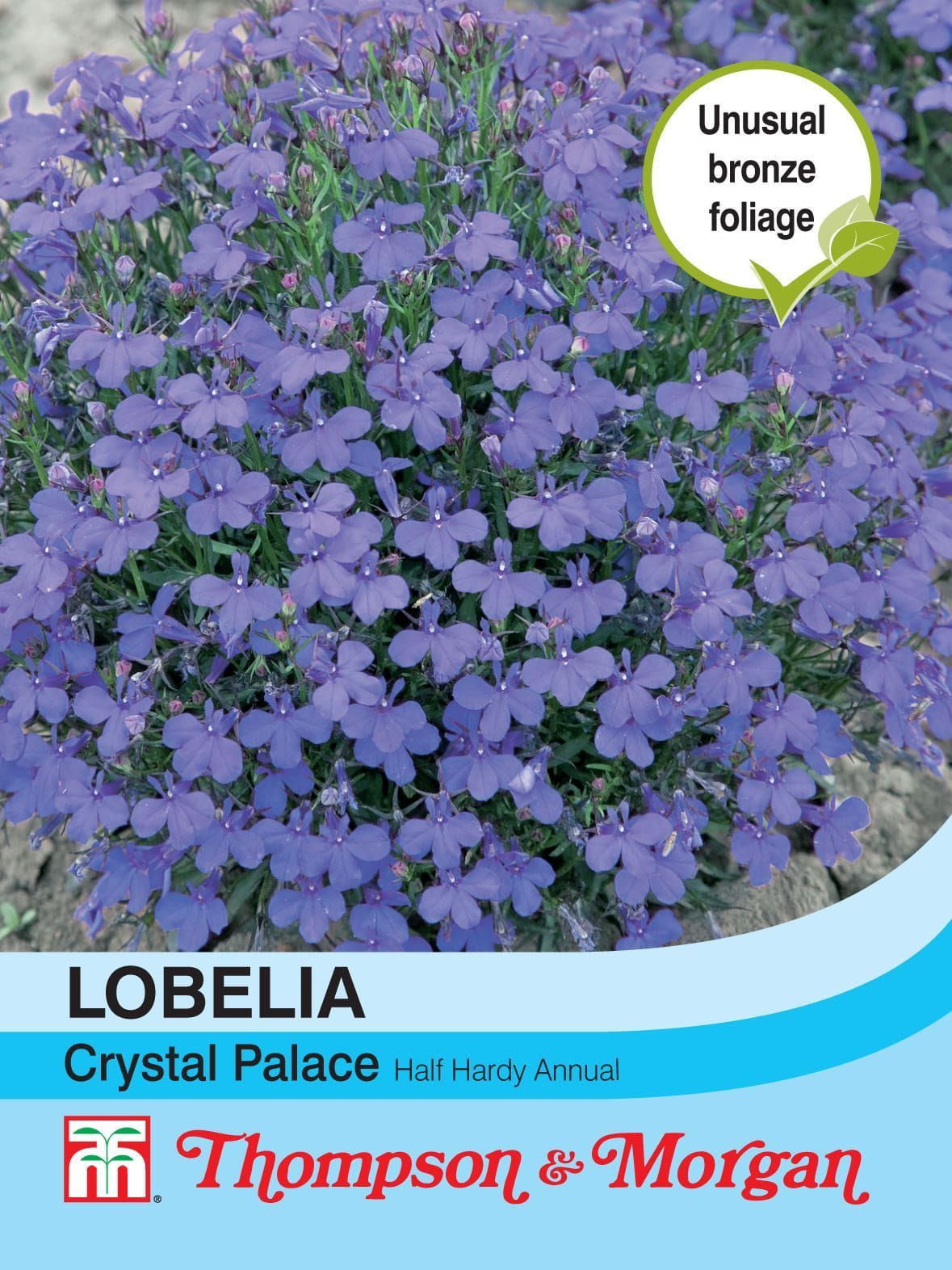 Thompson & Morgan Lobelia Crystal Palace 1000 Seed