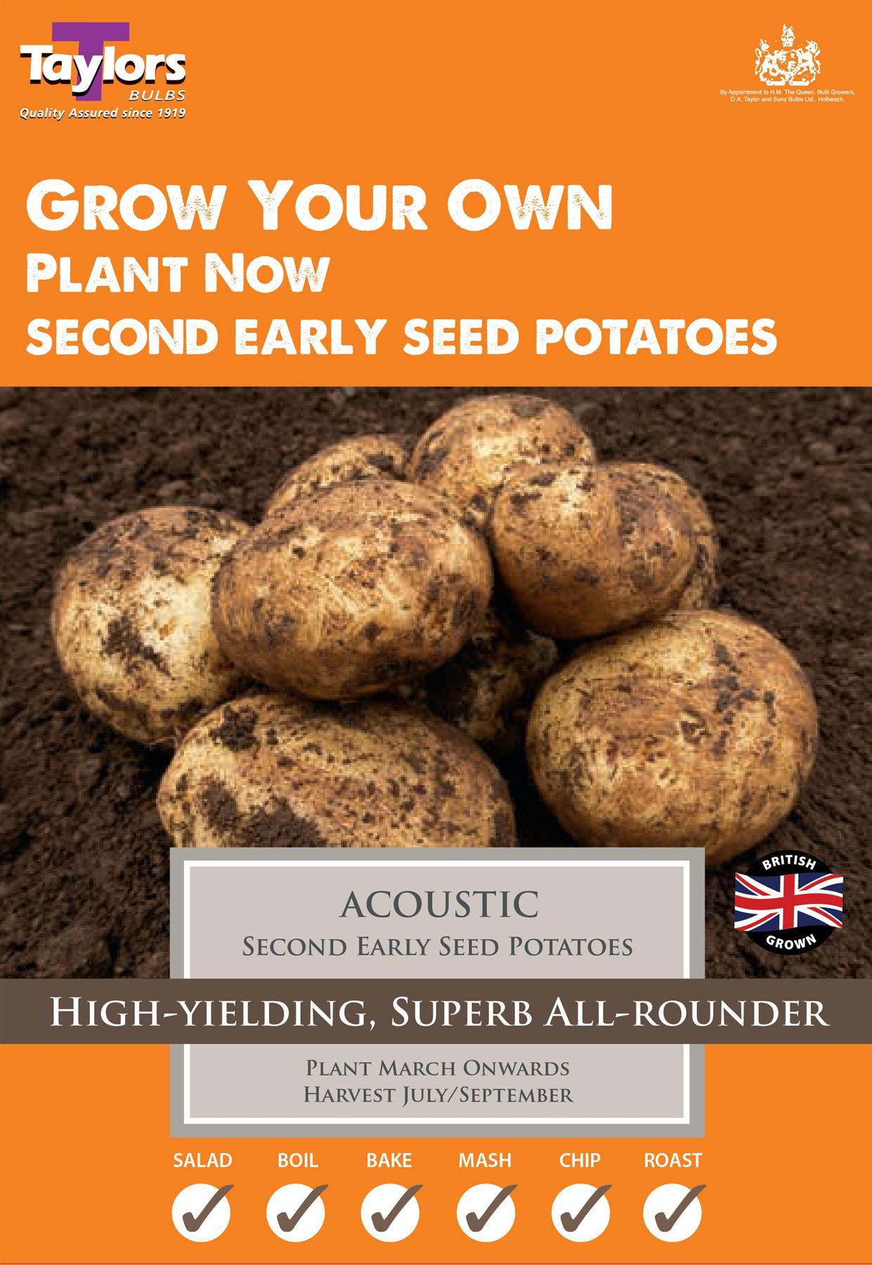 Taylors - Seed Potatoes - Acoustic - 10 Tubers - Second Early