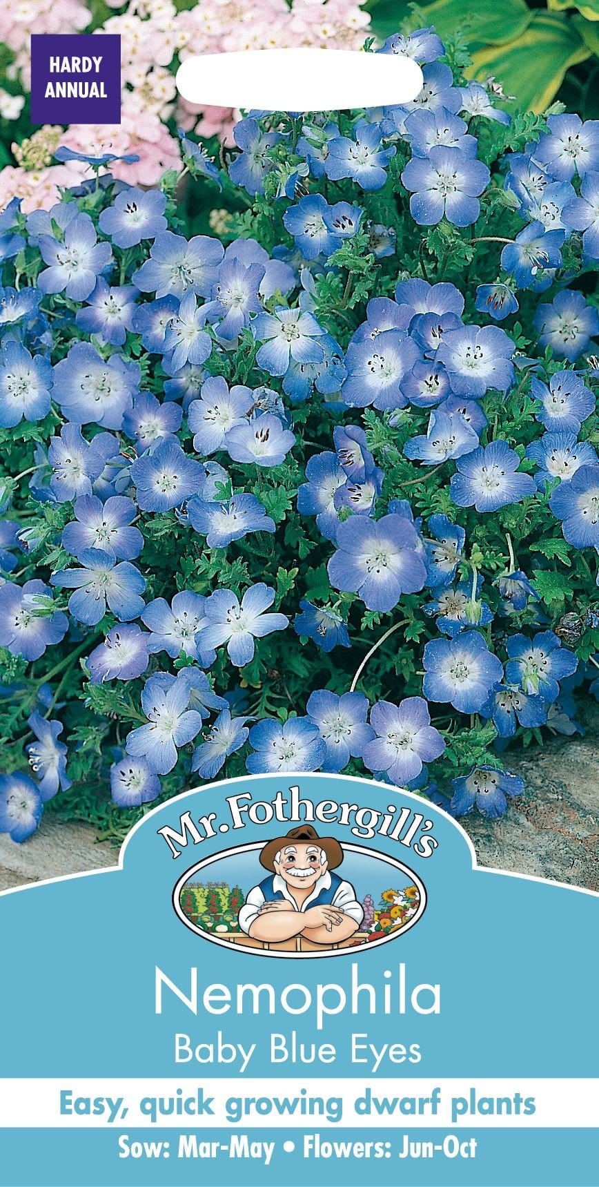 Mr Fothergills Nemophila Baby Blue Eyes 500 Seeds