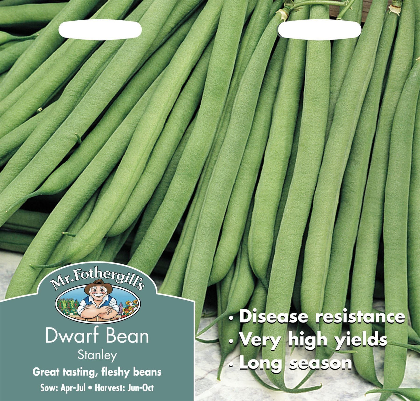 Mr Fothergills Dwarf Bean Stanley 100 Seeds