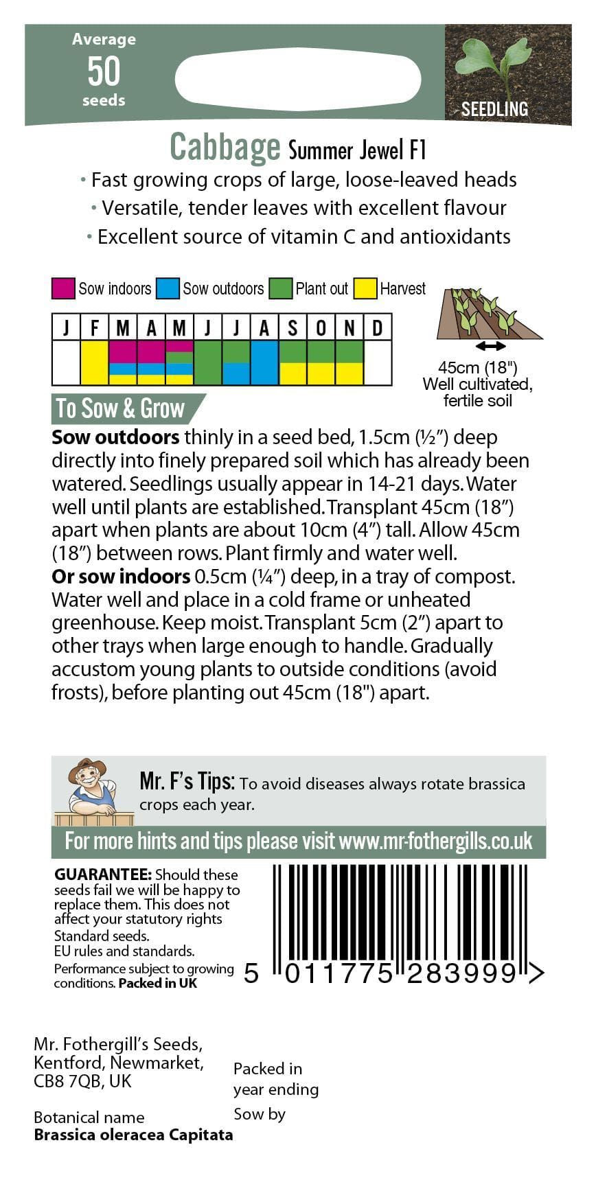 Mr Fothergills Cabbage Summer Jewel F1 50 Seeds