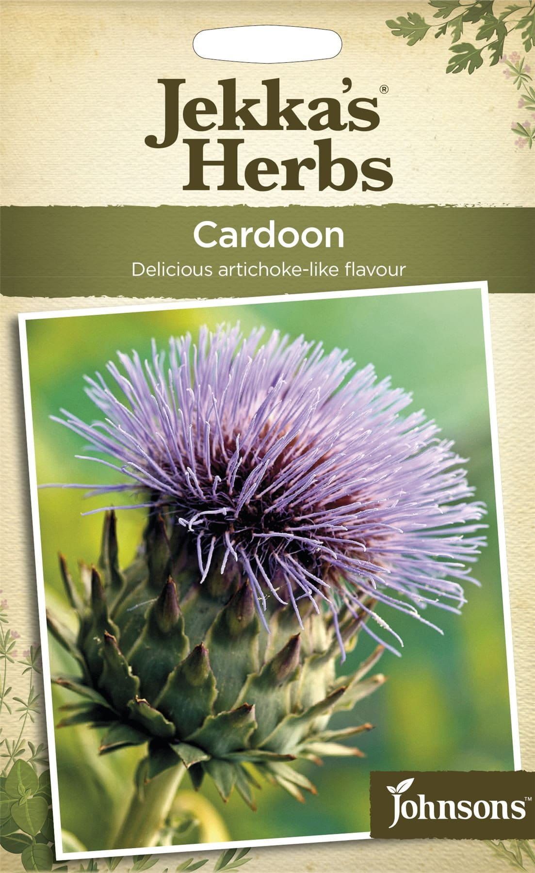 Johnsons Jekka's Herbs Cardoon 15 Seeds