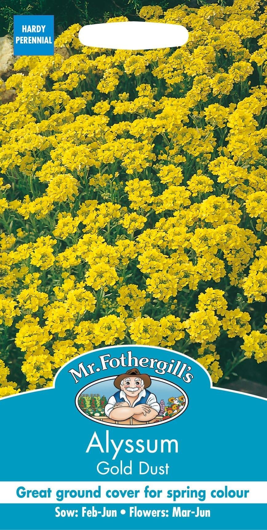 Mr Fothergills Alyssum Gold Dust 150 Seeds