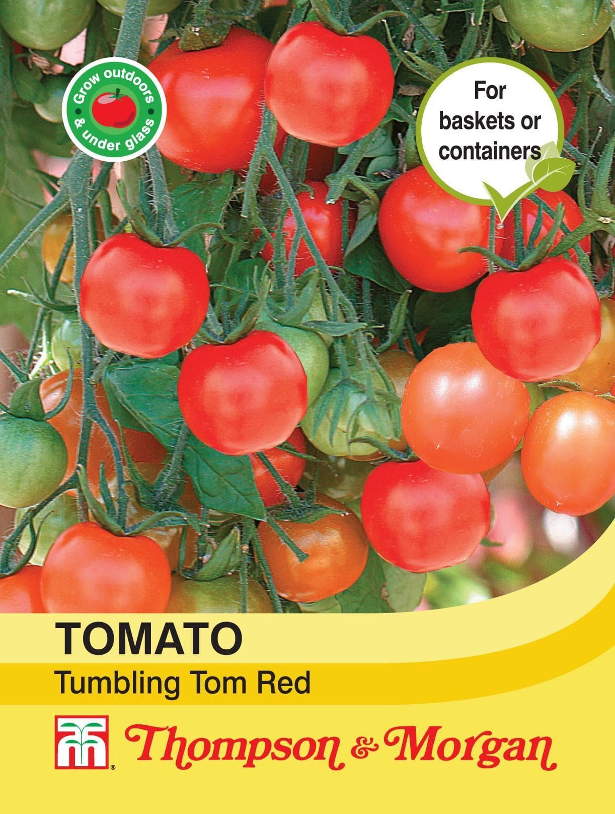 Thompson & Morgan Tomato Tumbling Tom Red 15 Seed