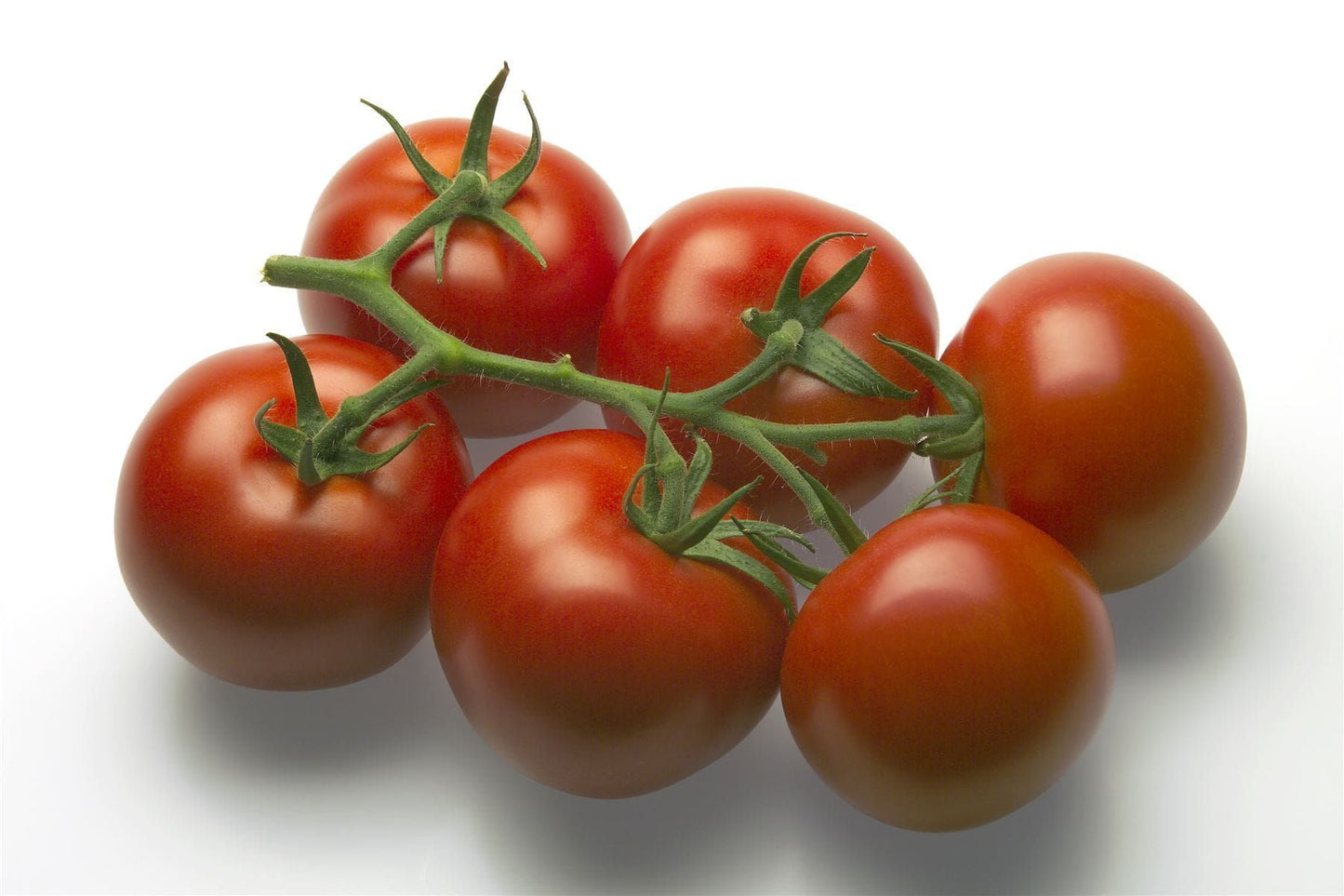 Tomato Mecano RZ F1 Hybrid (72-422) Seed