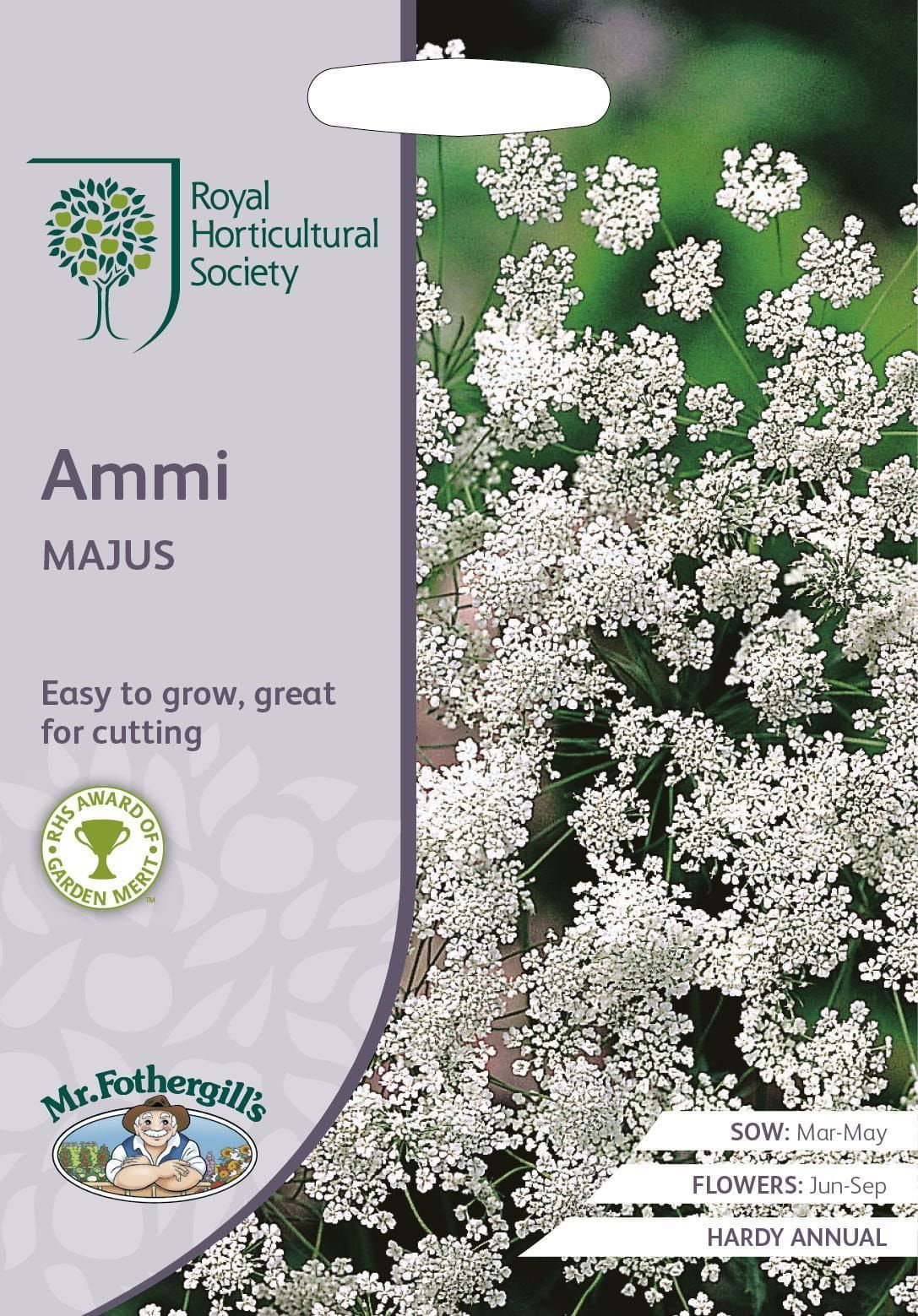 Mr Fothergills RHS Ammi Majus 500 Seeds