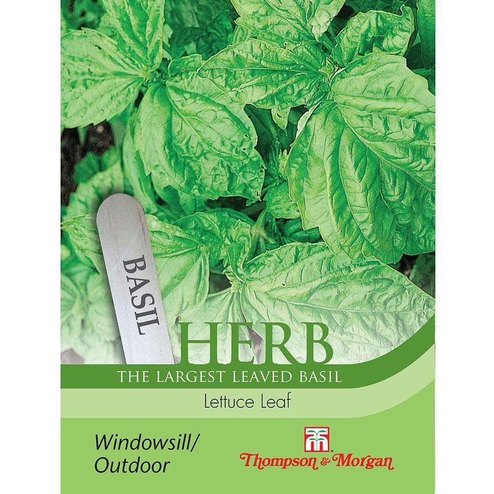 Thompson & Morgan - Herb - Basil - Lettuce Leaf - 250 Seeds