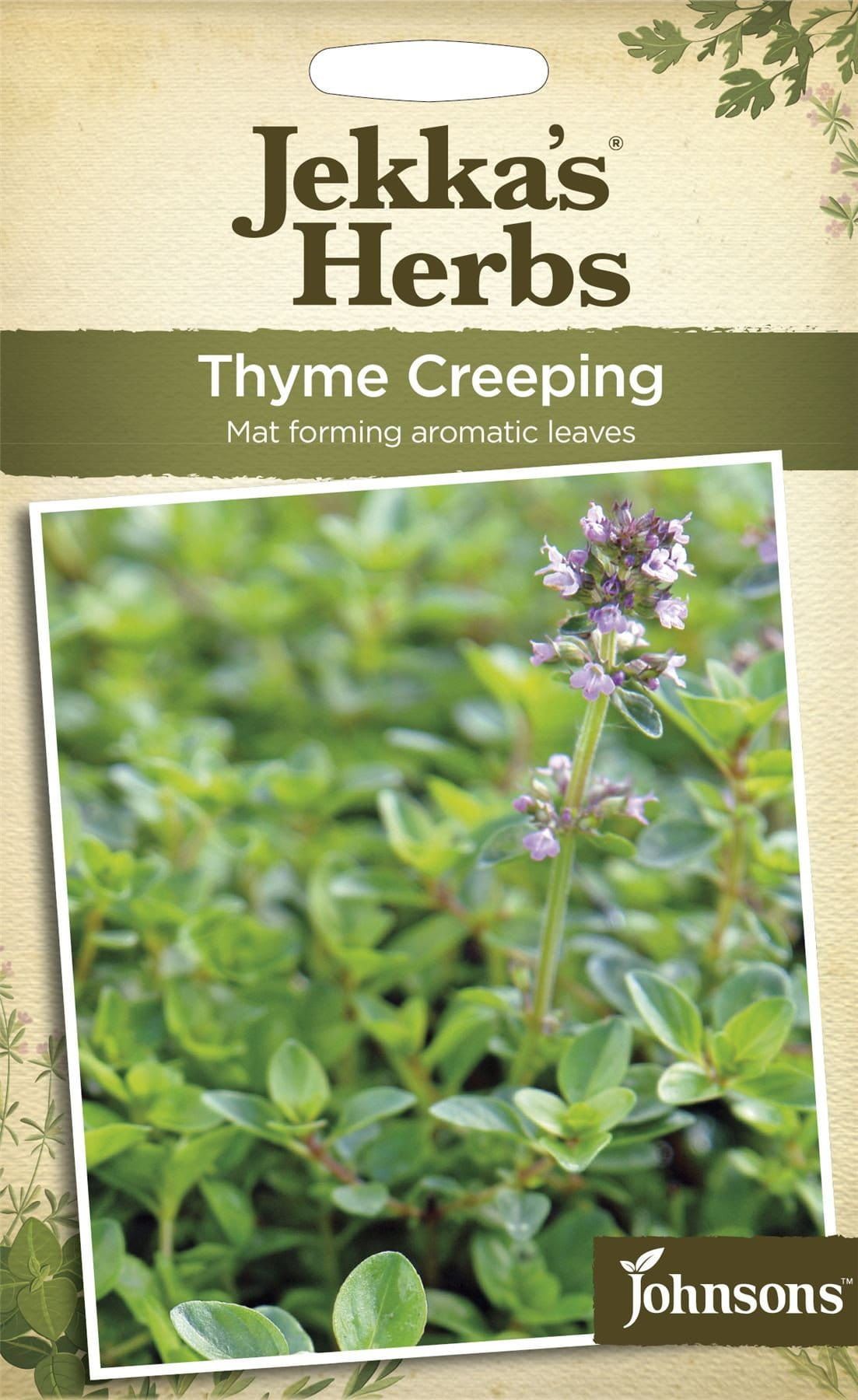 Johnsons Jekka's Herbs Thyme Creeping 1200 Seeds