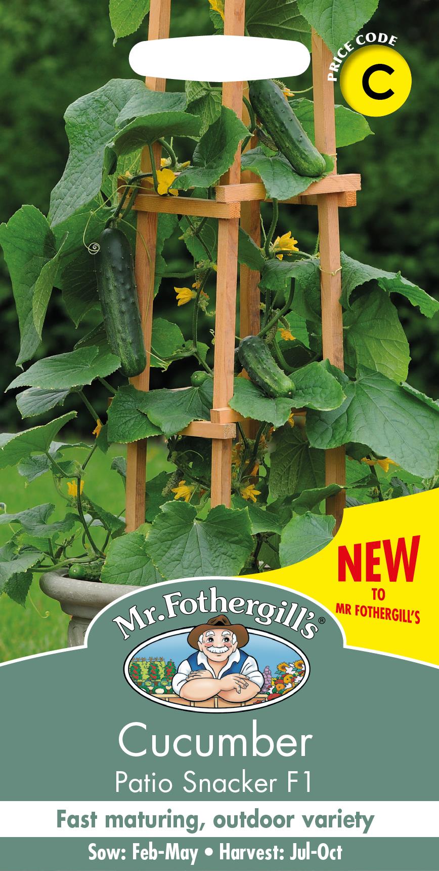 Mr Fothergills - Vegetable - Cucumber - Patio Snacker F1 - 5 Seeds