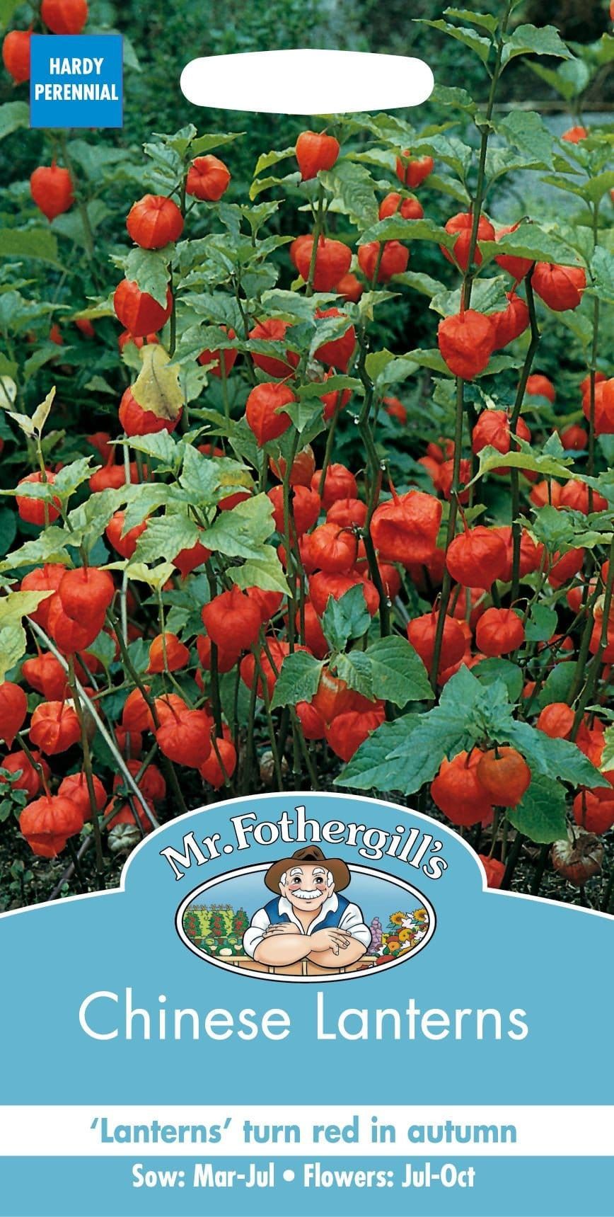 Mr Fothergills Clematis Korean Beauty 30 Seeds