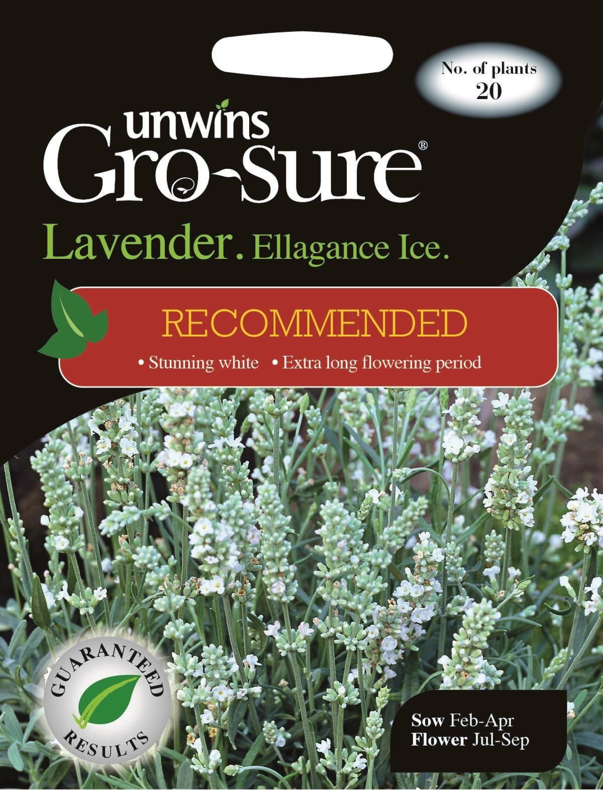 ellagance ice lavender plants Unwins Lavender Ellagance Ice (Recommended) 20 Seeds – JustSeed