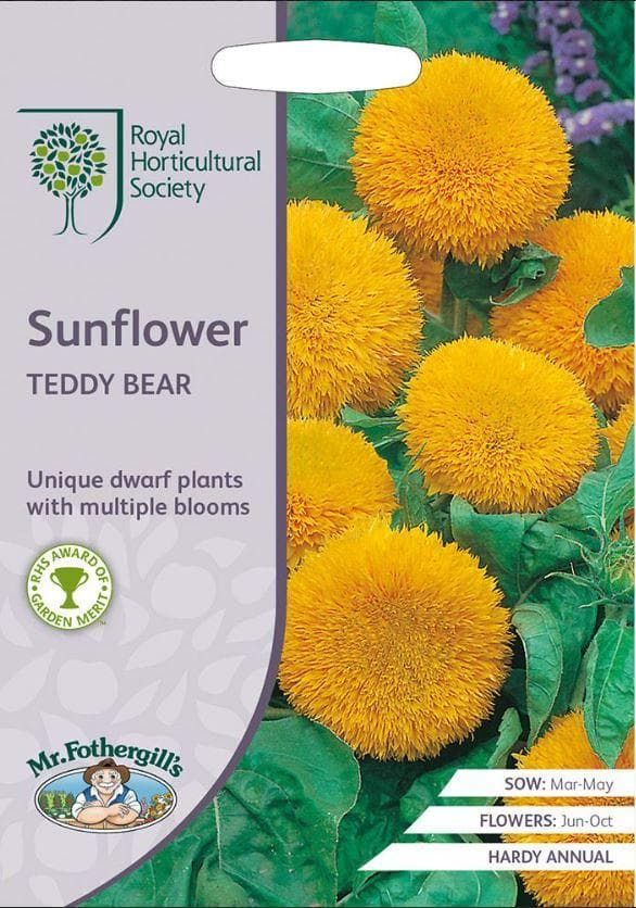 Mr Fothergills RHS Sunflower Teddy Bear 20 Seeds