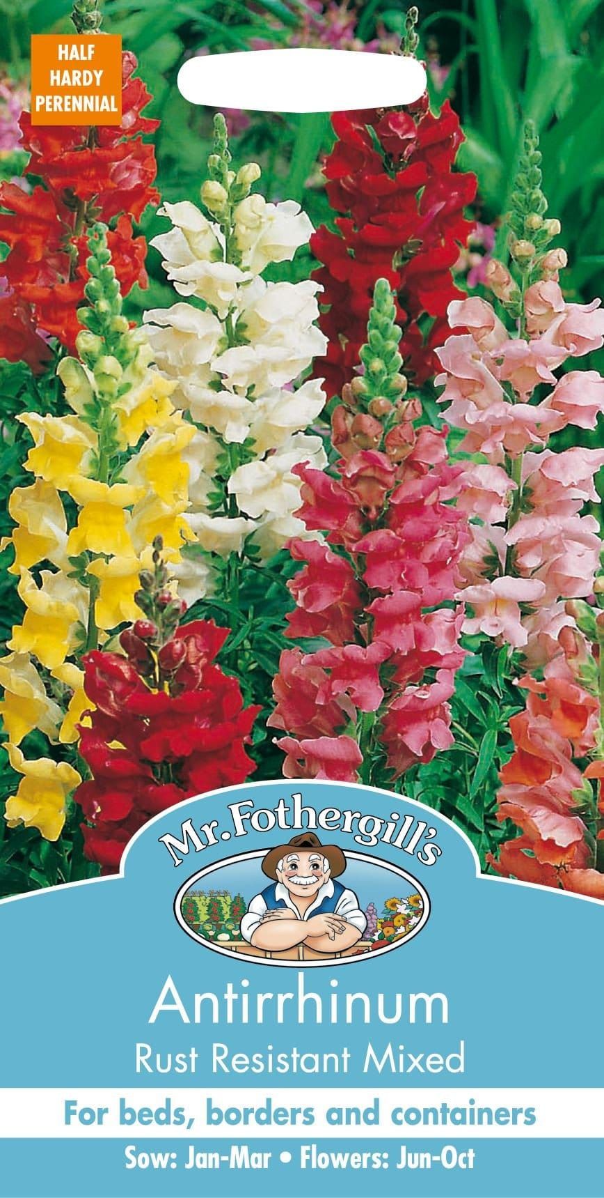 Mr Fothergills Antirrhinum Rust Resistant Mixed 1000 Seeds