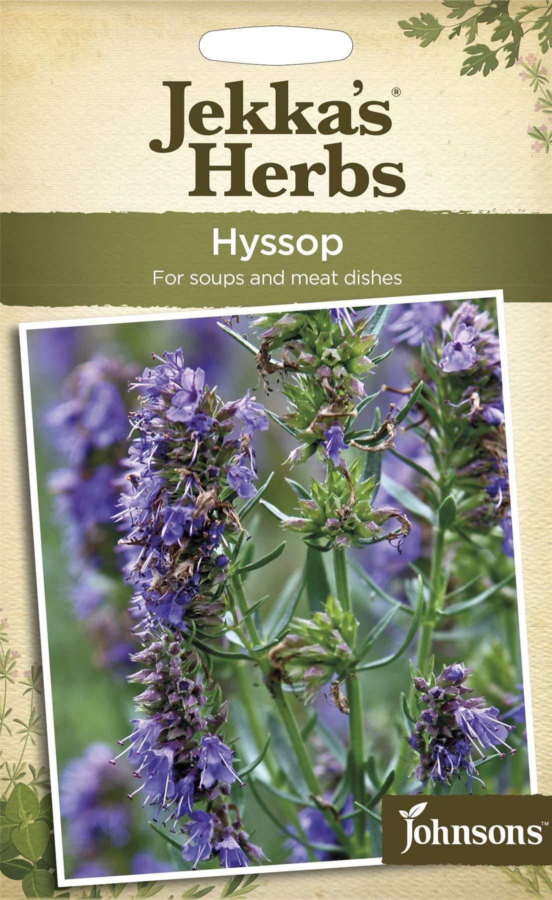 Johnsons Jekka's Herbs Hyssop 110 Seeds
