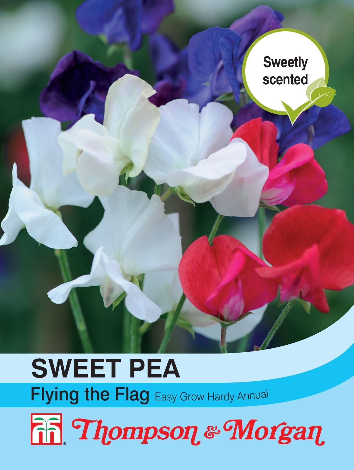 Thompson & Morgan Sweet Pea Flying The Flag 20 Seed