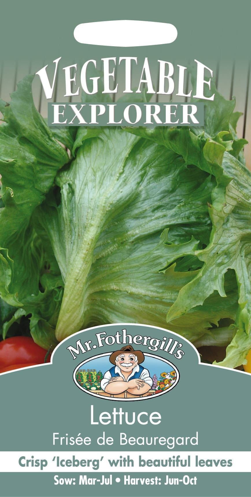 Mr Fothergills Lettuce Frisee de Beauregard 1000 Seed