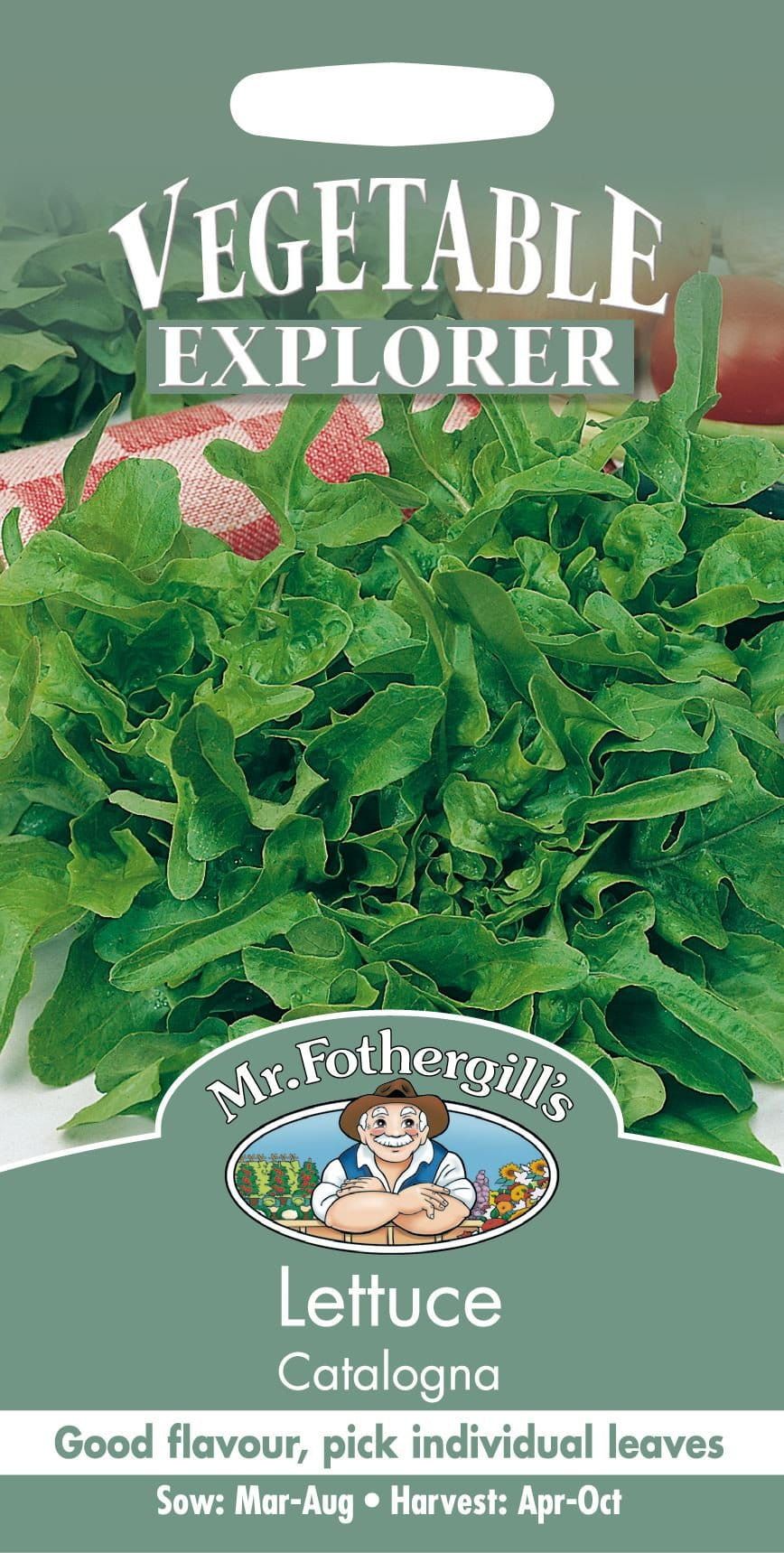 Mr Fothergills Lettuce Catalogna 1000 Seed