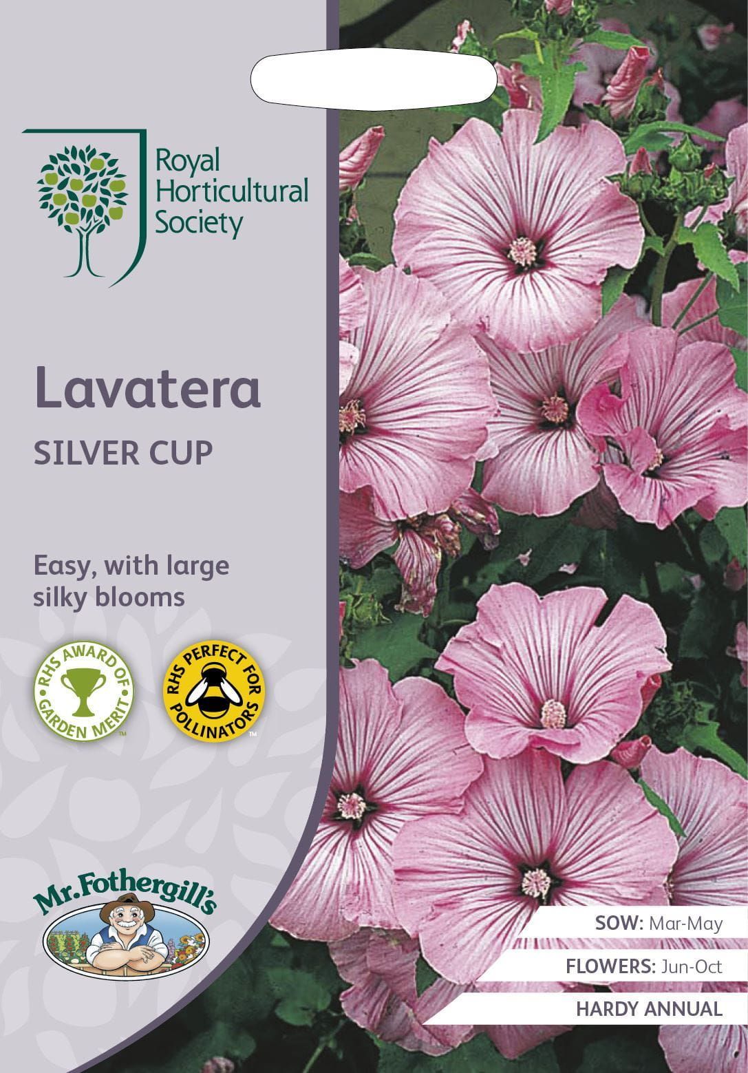 Mr Fothergills RHS Lavatera Silver Cup Seeds