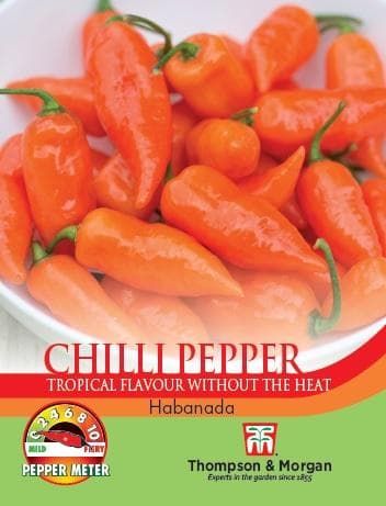 Thompson & Morgan Pepper Chilli Habanada 5 seed