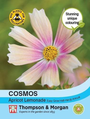 Thompson & Morgan Cosmos Apricot Lemonade 40 seed