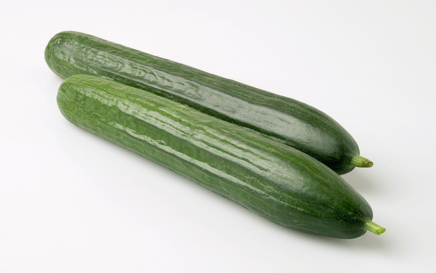 Cucumber Carmen F1 Hybrid Seeds