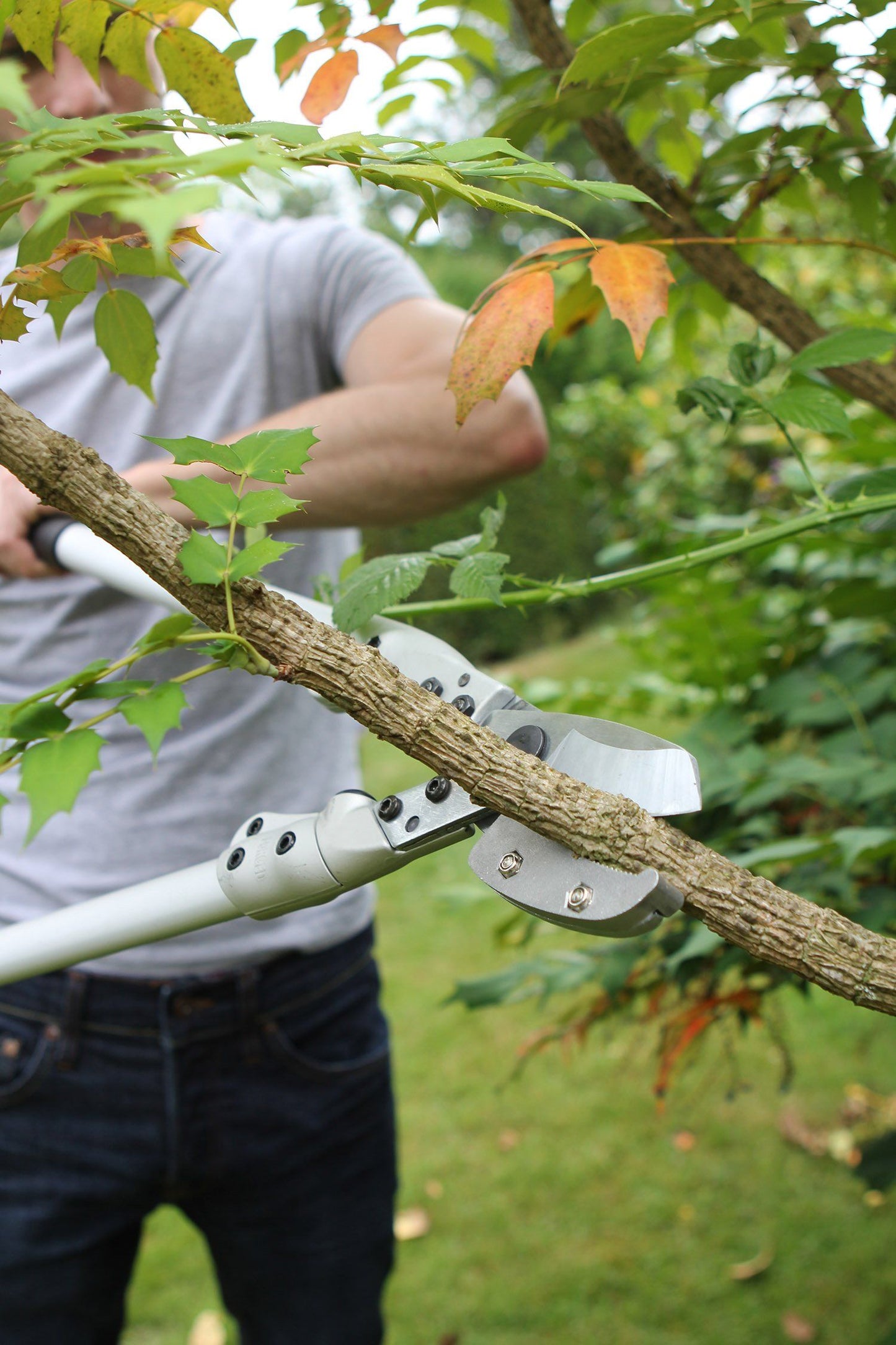 Darlac DP1021 Expert Anvil Lopper UK SHIPPING ONLY