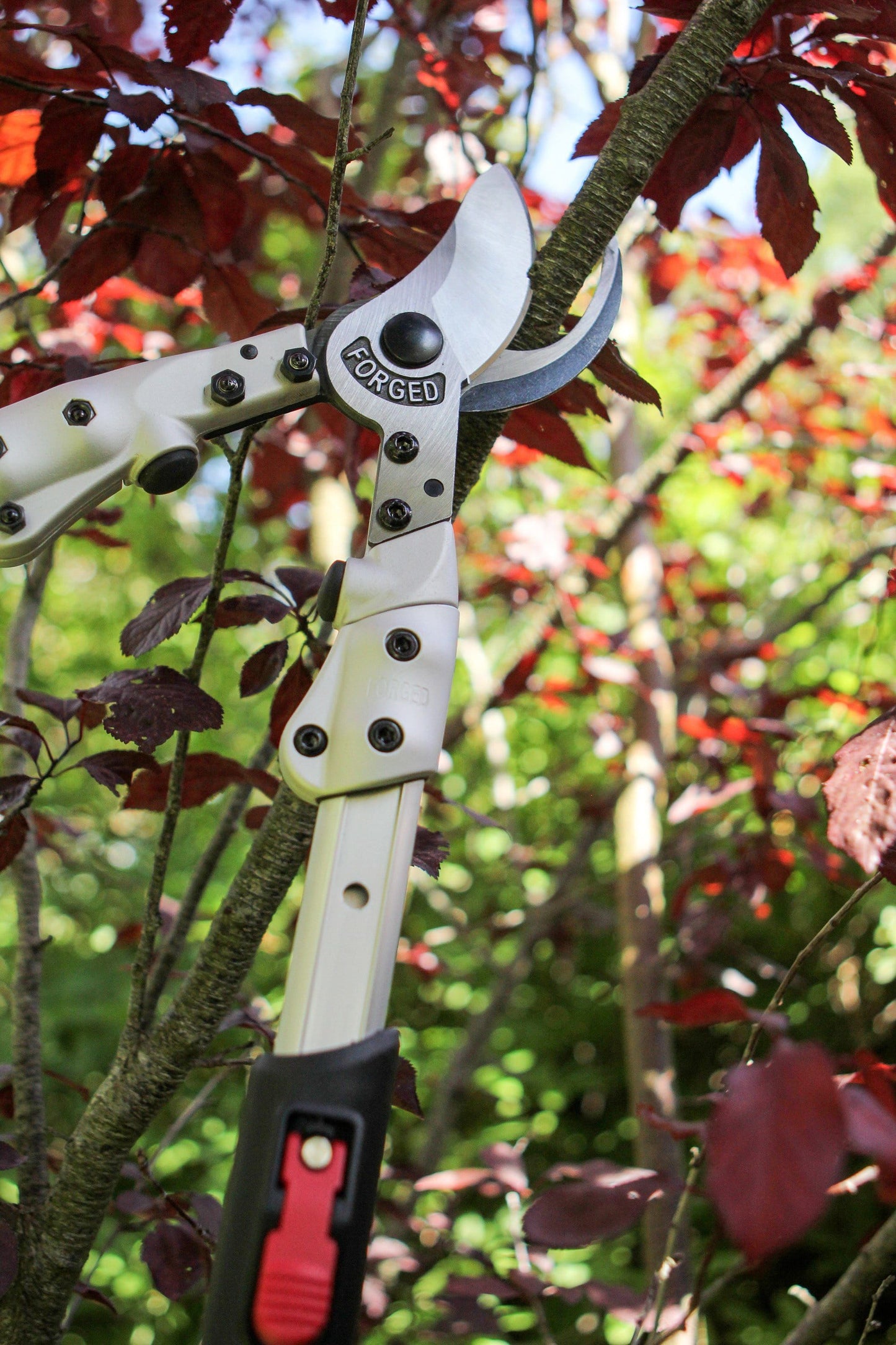 Darlac DP1022 Expert Telescopic Bypass Lopper UK SHIPPING ONLY