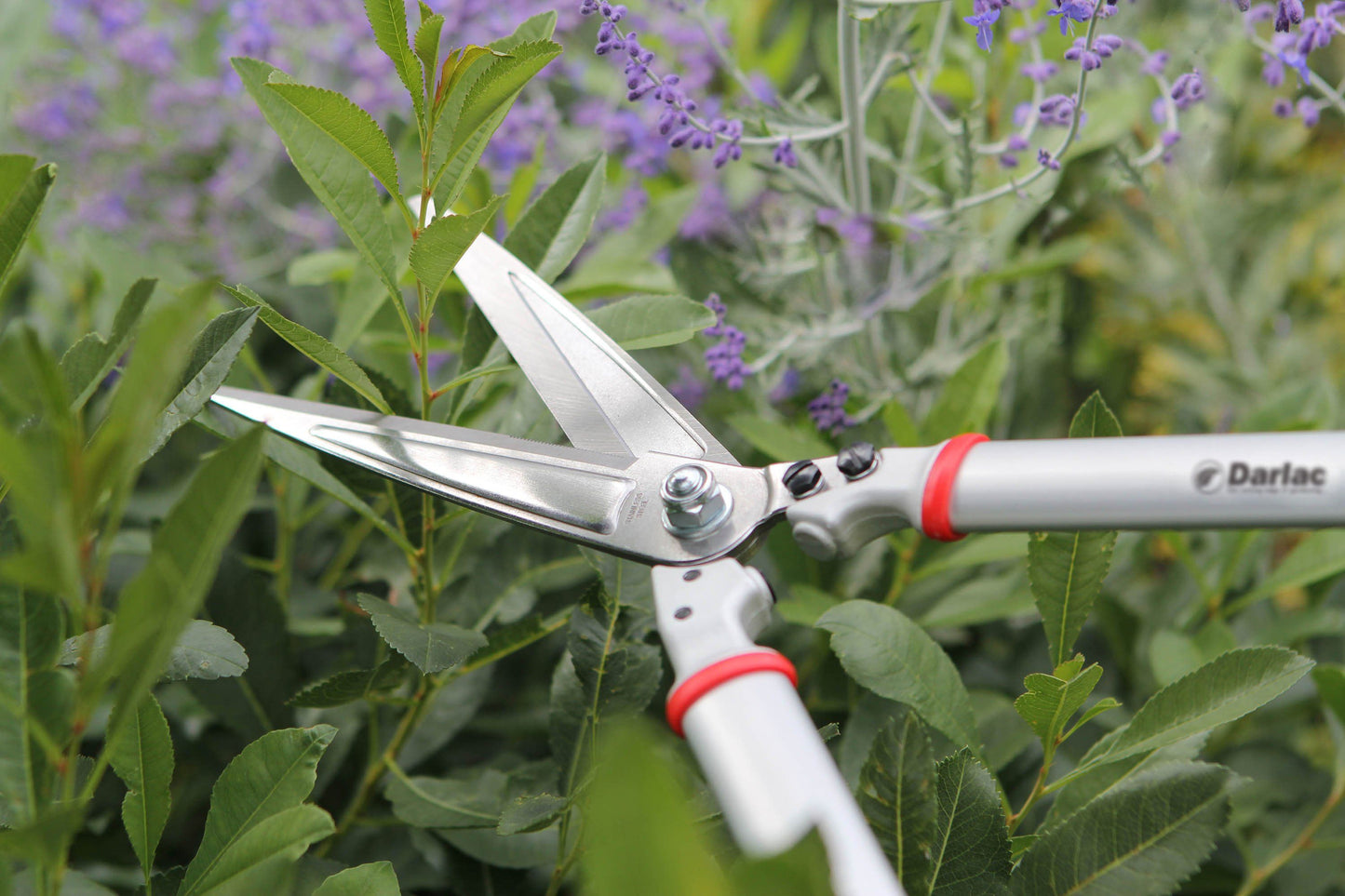 Darlac DP1425 Expert Fine Shear UK SHIPPING ONLY